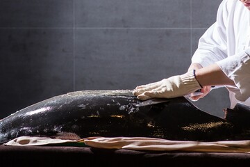a cook who makes raw tuna
