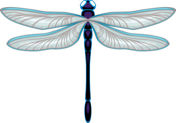 Dragonfly top view, vector isolated animal.