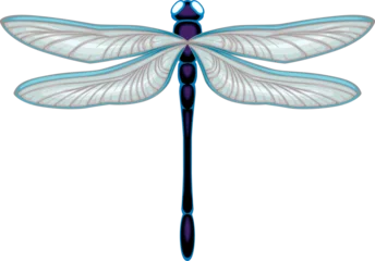 Fototapeten Dragonfly top view, vector isolated animal. © ddraw