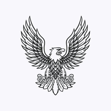 Eagle logo design illustration