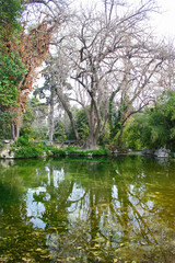 Fototapeta na wymiar Botanical Garden in Athens, Greece
