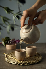 Asian tea concept, traditional dishes on a light background.