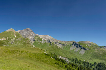 Schwarzhoren - Majest&auml;tisches Panorama des Schwarzhorns nahe Grindelwald in den Schweizer Alpen, umgeben von sattgr&uuml;nen H&auml;ngen und einem tiefblauen Himmel.