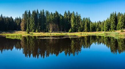 Fototapeta na wymiar Lake in the forest, spruce trees reflecting in the water