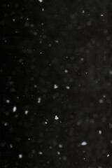 Bokeh of white snow on a black background. Snowfall - design element.