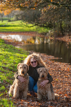 Two Airedale terriers in a leafy country location. A lady hugs her dogs. Portrait format image.