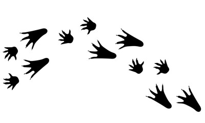 Crocodile paw print black isolate on white background .Exotic animal  vector illustration, wild animal doodle style for different design uses , book, banner , flayer or fabric pattern.