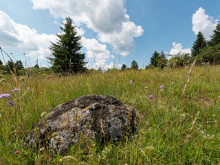 Landschaft im NSG „Hohe Rhön