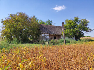 Fototapeta na wymiar rural landscape in sunny autumn day in Vojvodina