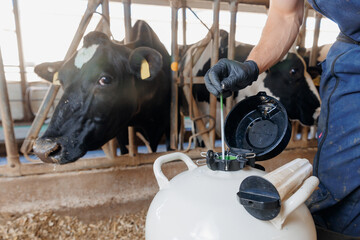 Tank liquid nitrogen with bull sperm, Concept artificial insemination of cows. Veterinary of...
