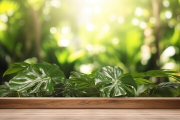 Wood podium outdoors with blur green monstera tropical forest plant, nature background