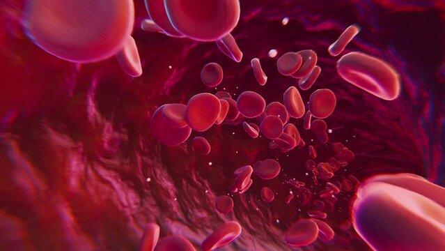 Red Blood Cells Flowing Inside Human Vein. Camera follows path. Seamless Loop Science And Health Related High Quality 3D Animation.