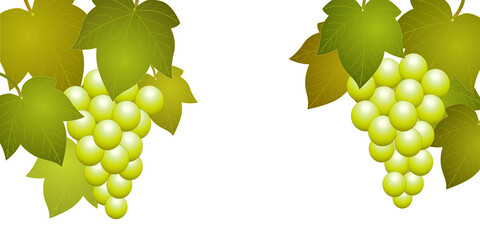 Grappes de raisins avec feuilles de vigne 