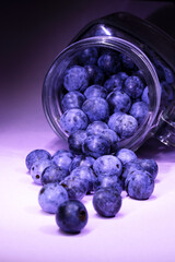 Blueberries in a glass jar on a purple background. Toned.