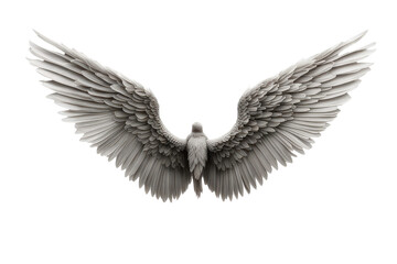 Fototapeta premium a high quality stock photograph of a single angel wings isolated on a white background