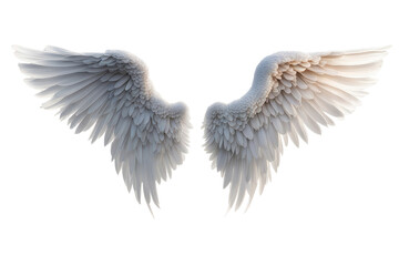 a high quality stock photograph of a single angel wings isolated on a white background - obrazy, fototapety, plakaty