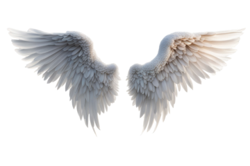 a high quality stock photograph of a single angel wings isolated on a white background