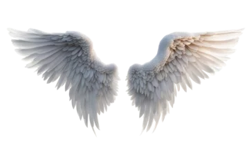 Foto op Plexiglas a high quality stock photograph of a single angel wings isolated on a white background © ramses