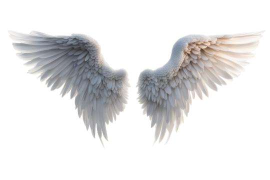 a high quality stock photograph of a single angel wings isolated on a white background