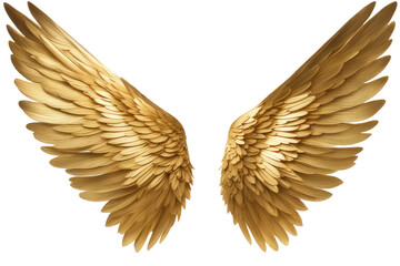 a high quality stock photograph of a single golden angel wings seperated from each other isolated on a white background - obrazy, fototapety, plakaty