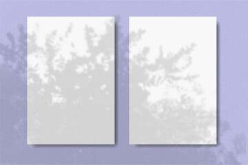Natural light casts shadows from the plant on 2 vertical rectangles sheets of white paper lying on a lilac background. Mockup