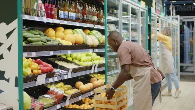 Medium shot of young Black male grocery store worker laying out fresh oranges on shelf while working in morning with Caucasian female colleague