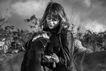 Dog in a shelter. An animal shelter volunteer takes care of dogs. A volunteer takes care of a dog...