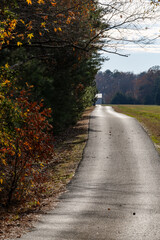 Fototapeta na wymiar Leonardtown, Maryland, USA A country road and the autumn foliage.
