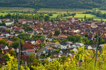 Blick von den Weinbergen am Ofentalerberg über die Weinstadt Hammelburg, Landkreis Bad Kissingen,...