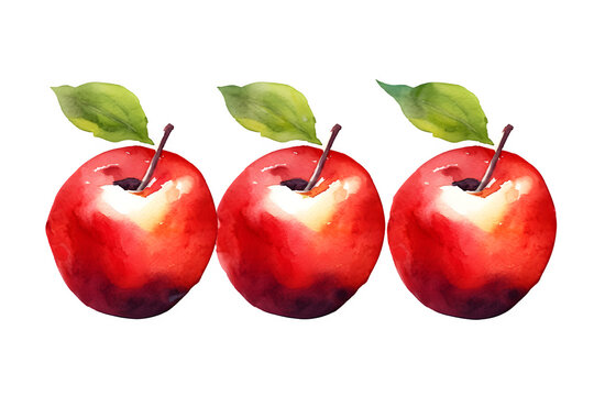 Red apple with leaf  in watercolor, transparent background