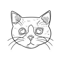 Hand Drawn Pet Shop Doodle Cat