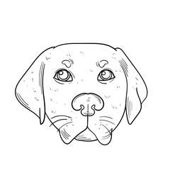 Hand Drawn Pet Shop Doodle Dog