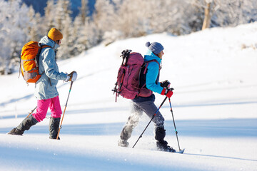 winter trekking. two girls with backpacks and snowshoes. walking in the snow among the trees....
