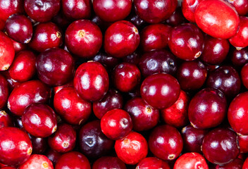 Many fruits of Vaccinium vitis-idaea at the market