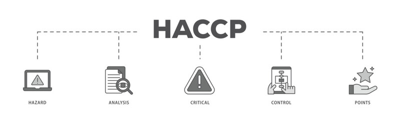 HACCP infographic icon flow process which consists of hazard analysis and critical control points acronym in food safety management system icon live stroke and easy to edit  - obrazy, fototapety, plakaty
