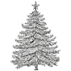 Christmas Tree Sketch for Greeting Card Vintage Engraving, Festive Artwork Conceptualization for the Season, black white isolated Vector ink outlines template for greeting card, poster, drawing