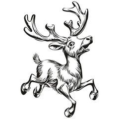 Hand Drawn Christmas Reindeer, deer Silhouette Vintage Engraved Sketch, black white isolated Vector ink outlines template for greeting card, poster, invitation, logo