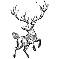 Hand Drawn Christmas Reindeer, deer Sketch Vintage Engraving, black white isolated Vector ink outlines template for greeting card, poster, invitation