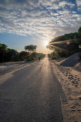 A Sandy Road at Sunset