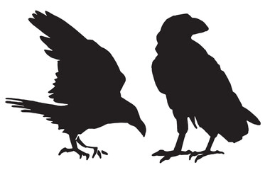 Ink pen vector set of silhouettes of crows isolated on white background. Elements for design,tattoo and printing	