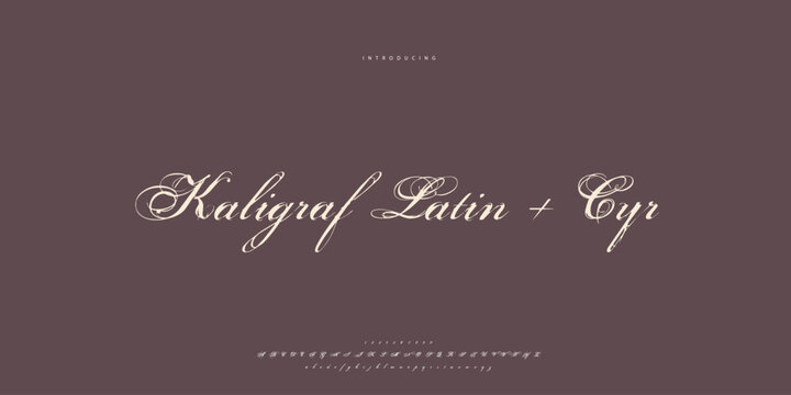 Signature Font Calligraphy Logotype Script Brush Font Type Font lettering handwritten
