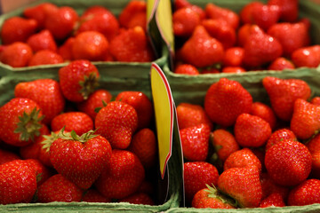 Many fresh ripe strawberries in containers, closeup
