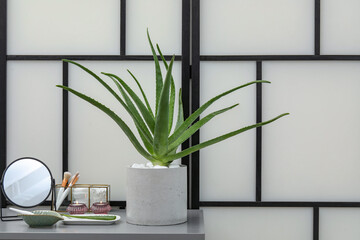 Potted aloe vera plant, cosmetic products and burning candles on chest of drawers indoors, space...