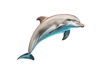 Graceful Aquatic Dancers Dolphins isolated on transparent background