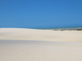 sand dunes on the beach