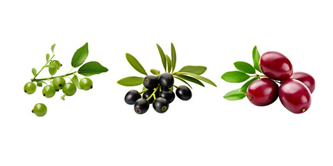 Caperberry isolated on white background