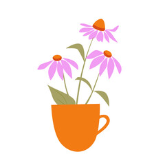 Echinacea or coneflower pink flowers in mug, herbal tea, teacup of relaxing beverage. Vector illustration of medicinal herbs