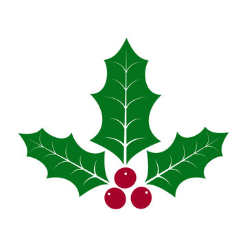 Holly Berry flat icon. Traditional Christmas plant holly berries and leaves. Vector template for greeting card, banner, flyer, sticker, etc.