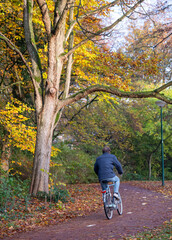 man rides bike through park in autumn colors near utrecht in the netherlands