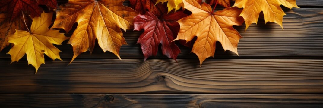 Autumn Leaves Over Wooden Background , Banner Image For Website, Background, Desktop Wallpaper